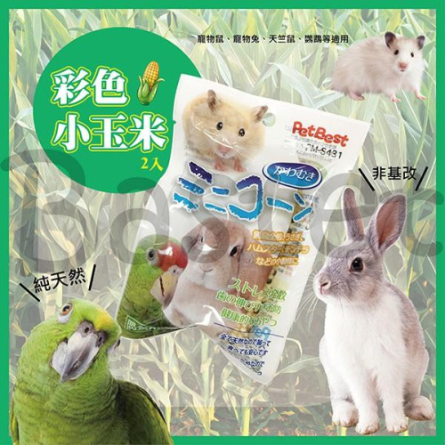 鼠鸚鵡兔子竟然有共同的零食真奇妙~Pet Best 彩色小玉米 寵物零食 小動物零嘴 磨牙點心 天竺鼠 鸚鵡 兔子