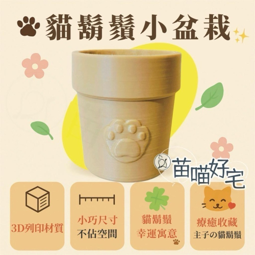 【苗喵好宅】?貓鬍鬚小盆栽✦貓奴必備療癒小物✨