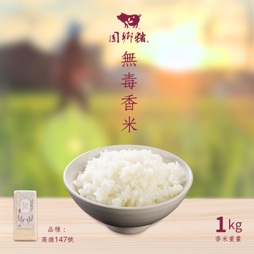 圓鄉豬 I 無毒香米（白米）
