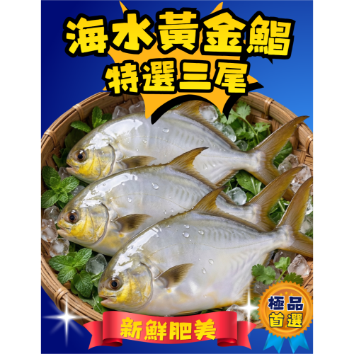 i 鮮屋 | 黃金鯧300g特惠組(三入)