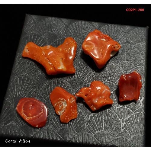 ?Coral珊寶手作-天然阿卡珊瑚/紅珊瑚塊(無孔) CO2P1-200