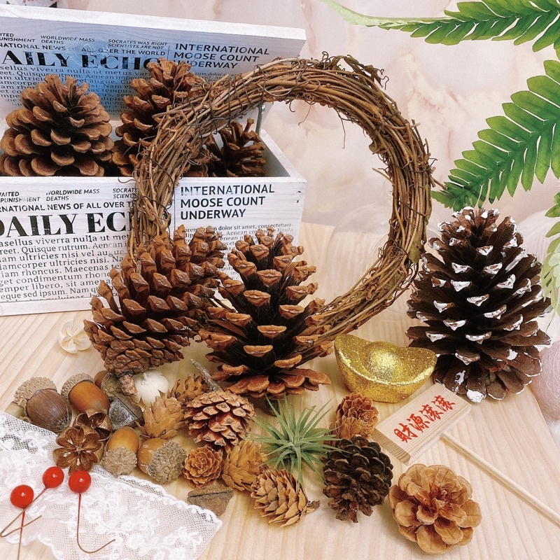 現貨? 綜合松果 果實 DIY 拍照道具 落葉松 大松花 小毬果 松花 玫瑰杉松 擺攤道具 花圈佈置 花圈材料 藤蔓花圈