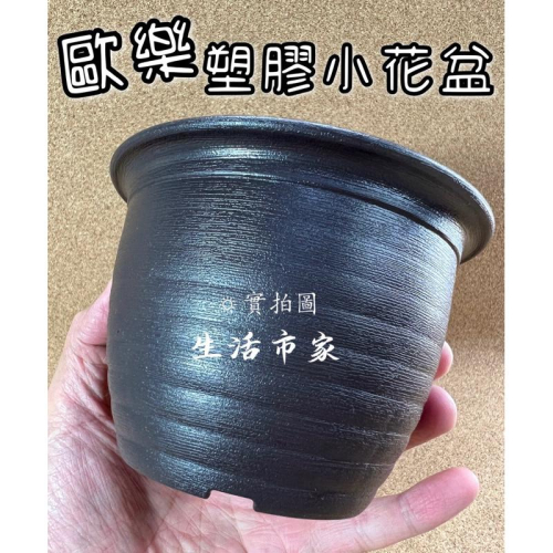 現貨 台灣製 歐樂花盆 小花盆 花盆 栽培盆 塑膠花盆 園藝花盆 小盆栽 盆栽