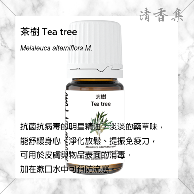 [24h 快速出貨] 芳療級 茶樹精油 10ml 按摩放鬆紓壓香氛抗菌抗病毒 清香集