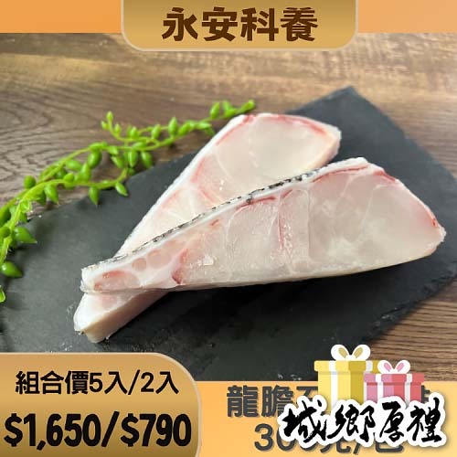 龍膽石斑魚排