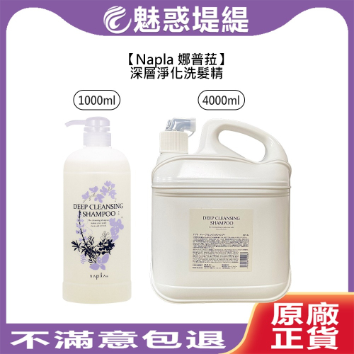 【魅惑堤緹?】Napla 娜普菈 深層淨化洗髮精 1000ml 4000ml 洗髮精 髮浴 涼感 保濕 頭皮 異味