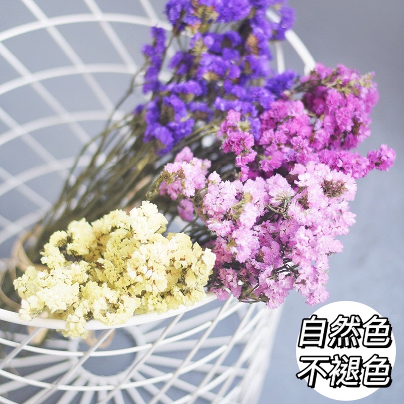 現貨 實拍 星辰 diy天然乾燥花 永生花 禮物裝飾 勿忘我 迷你小花束 紫色 花材 花束 拍照道具 裝飾擺飾