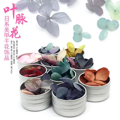 美甲乾燥花瓣永生花指甲裝飾品 DIY日系彩色花瓣指甲貼光療甲