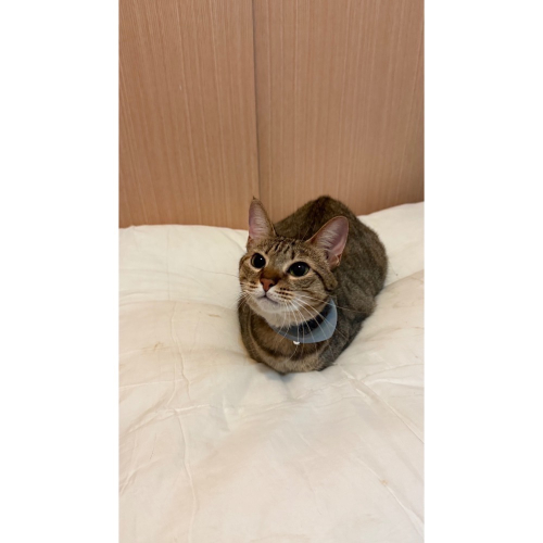 配件客訂專區
