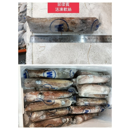 活凍““軟絲””450元““1kg