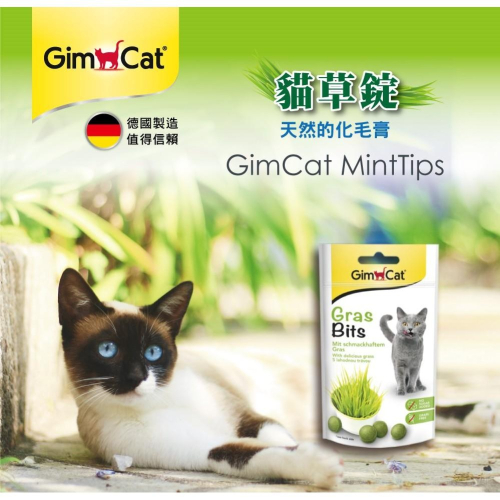 竣寶 Gimpet 貓用 貓草錠 50g (貓草零食 貓零嘴 獎勵)