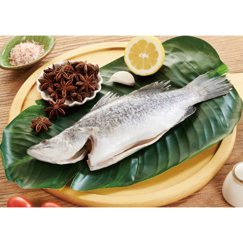 無垢生態海水鱸魚