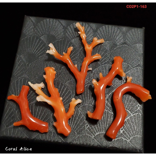 ?Coral珊寶手作-天然阿卡珊瑚/紅珊瑚自然枝 CO2P1-163