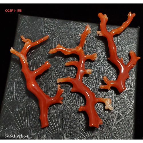 ?Coral珊寶手作-天然阿卡珊瑚自然枝(無孔) 43.9-57.6mm CO2P1-158