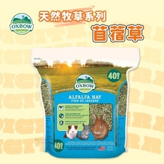【現貨】?快速出貨? 美國 OXBOW 天然牧草系列 苜蓿草(40oz) 小寵牧草 鼠兔牧草 小動物牧草 兔用牧草