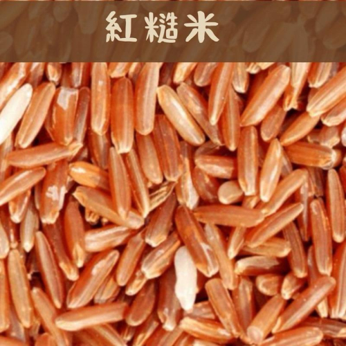 ✨榖榖✨紅糙米 台灣好米 食用米 紅秈糙米 五穀雜糧