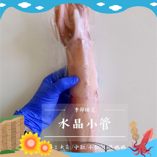 《澎湖名產》永翔海產/阿忠花枝丸 水晶小管（中款）
