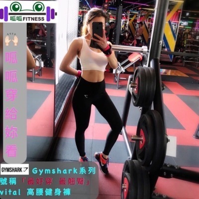 [呱呱健身]Gymshark 女生運動褲 vital legging 無縫針織 高腰健身褲 運動緊身褲 高腰運動褲