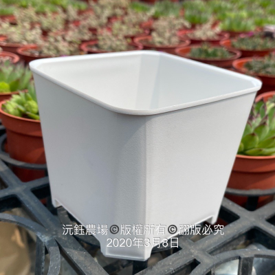 沅鈺農場 資材 多肉植物專用 矮版 透氣盆