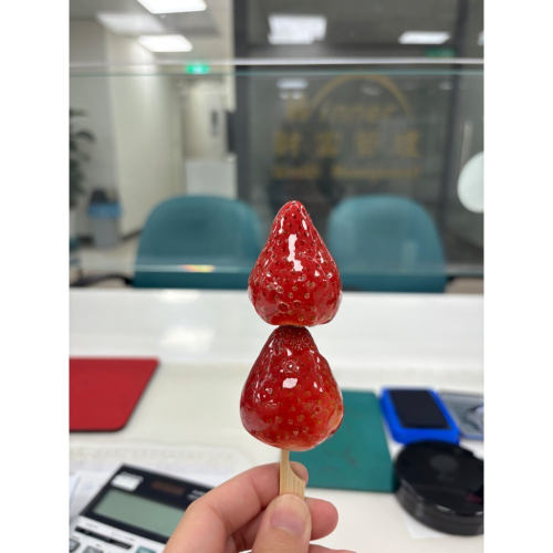 恩典尿布