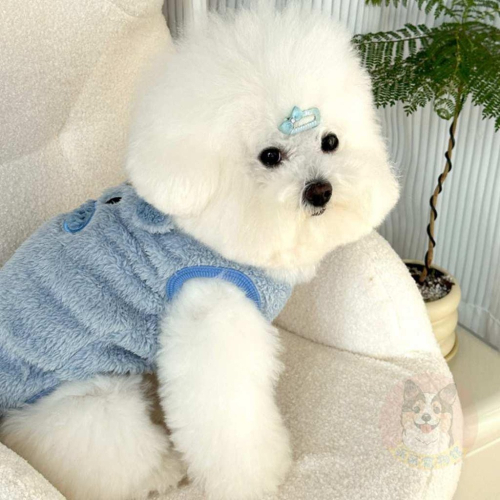 狗狗豬~~背心? 狗狗衣服 狗衣服 寵物衣服 幼犬衣服 小狗衣服 比熊衣服 貴賓狗臘腸狗博美約克夏小型犬背心保暖冬天