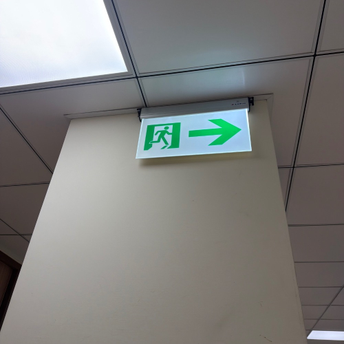 小樹