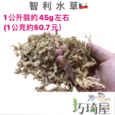 ￼智利水草1公升裝 水苔 鹿角蕨 觀葉植物 乾燥水苔 食蟲植物 捕蟲堇 蘭花介質
