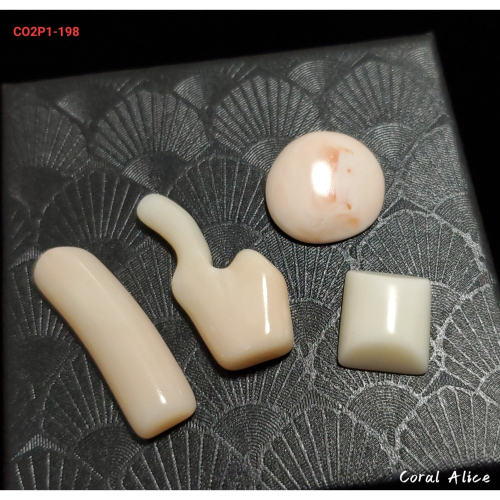 ?Coral珊寶手作-天然寶石珊瑚造型裸石(深水珊瑚/白珊瑚/粉珊瑚) CO2P1-198