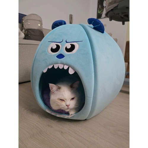 測試