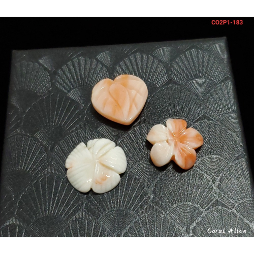 ?Coral珊寶手作-天然深水珊瑚手工刻花(無孔) CO2P1-183