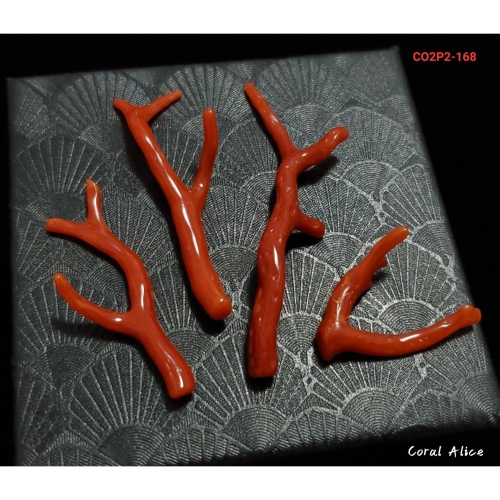 ?Coral珊寶手作-天然沙丁珊瑚自然枝 (無孔) 17.0-56.6mm CO2P1-168