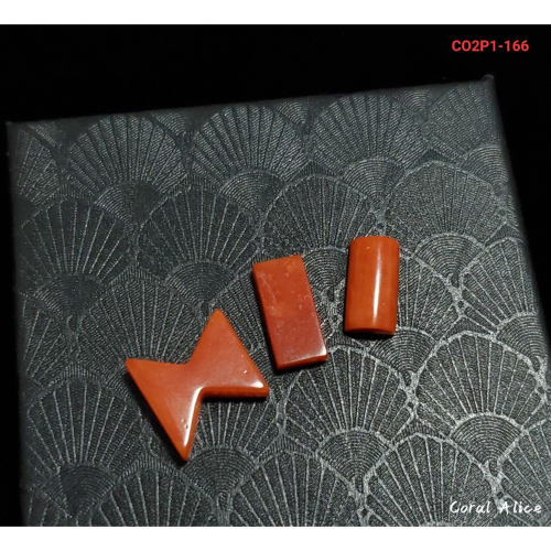 ?Coral珊寶手作-天然阿卡珊瑚/momo珊瑚造型裸石 CO2P1-166