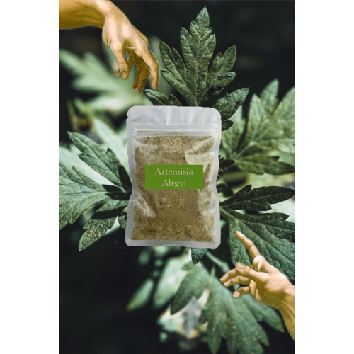 ?特級艾草絨 Artemisia Alrgyi 超細密 綿密 艾灸