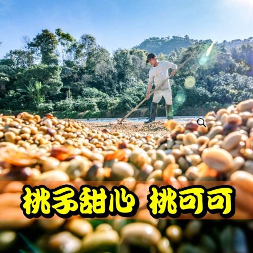 桃子甜心/桃可可【中淺焙/中焙】