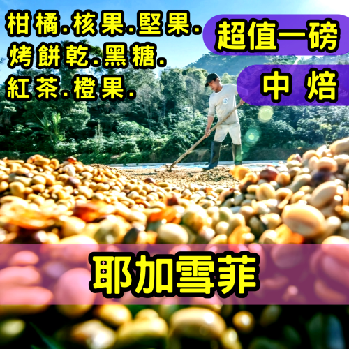 耶加雪菲【中烘焙】