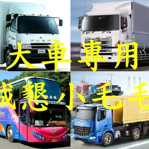 【大車專用卡】【當天出貨】【12顆/每顆100L】【誠字標籤】【8大保證】【Dyno Tab dynotab】