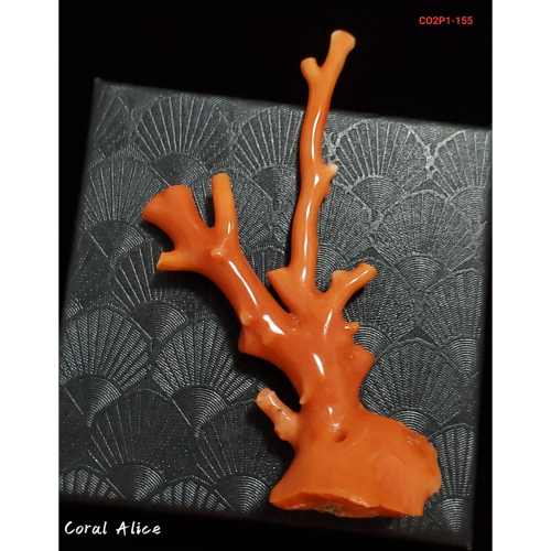 ?Coral珊寶手作-天然MOMO珊瑚自然枝(已拋光) 85.4mm CO2P1-155