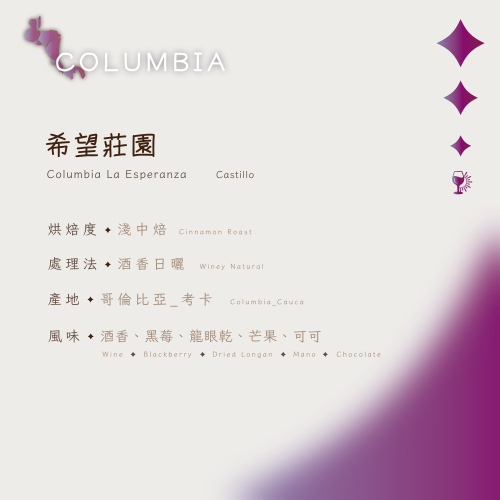 【恆星咖啡】哥倫比亞_希望莊園_淺中焙_精品咖啡豆_咖啡豆