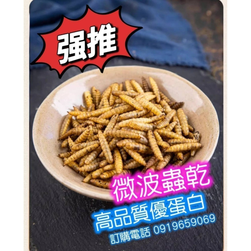 黑水虻 蟲乾 真空微波高品質
