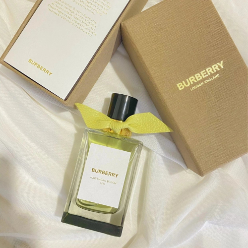 中性香水 男女款情侶香水 男生香水 巴寶莉BURBERRY香水 戰馬香水100ml 高定香水系列 都鐸玫瑰/山楂花/紅玫