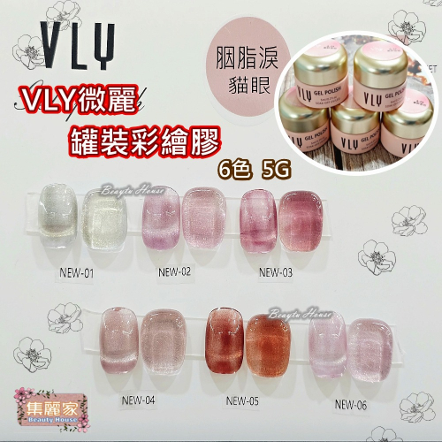【集麗家】VLY罐裝彩繪膠 [胭脂淚貓眼] 6色 台灣品牌 色彩飽滿 美甲 工藝 上色 彩繪 專業 推薦 美甲師最愛