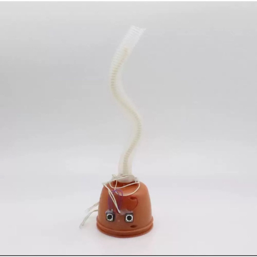 蘭搖擺器