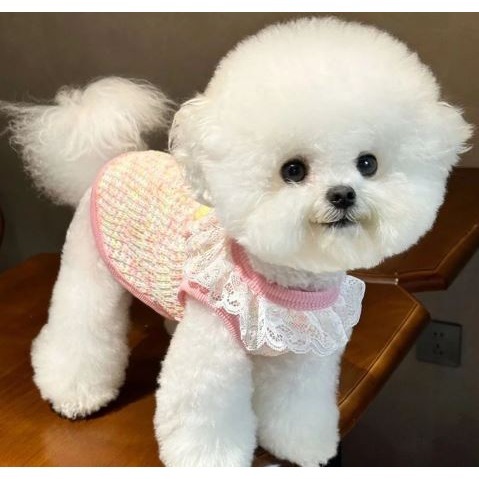 現貨 寵物春秋季針織背心 蕾絲花邊編織花朵 可牽引 小型犬