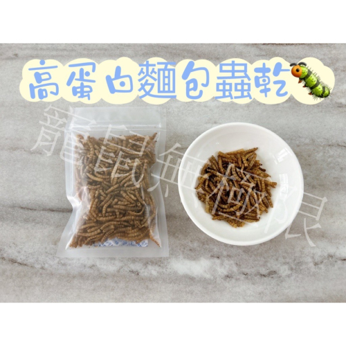 ✔️現貨 倉鼠高蛋白麵包蟲乾 分裝15g (倉鼠麵包蟲乾、蜜袋鼯、三線鼠、黃金鼠、一線鼠、刺蝟、鳥)