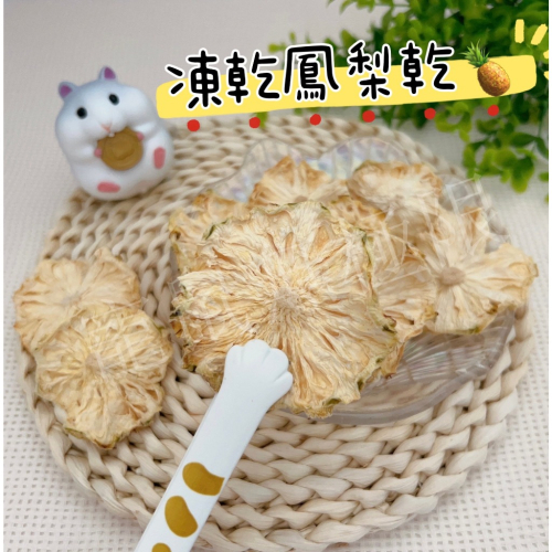 ✔️新品 新鮮倉鼠凍乾鳳梨乾15g 倉鼠鳳梨乾 鼠鼠鳳梨乾(倉鼠果乾/倉鼠凍乾/倉鼠/三線鼠/黃金鼠/蜜袋鼯/睡鼠)