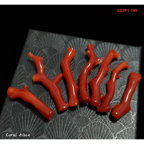 ?Coral珊寶手作-天然阿卡珊瑚/紅珊瑚自然枝(無孔) CO2P1-195