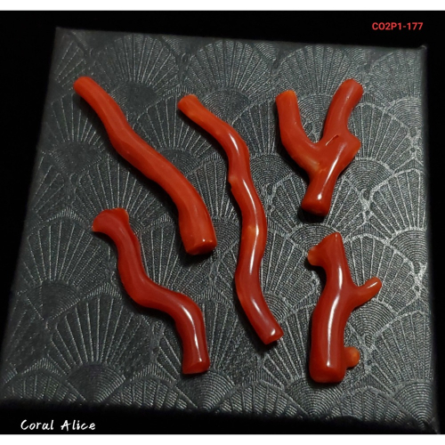 ?Coral珊寶手作-天然阿卡珊瑚/紅珊瑚自然枝(無孔) 24.6-50.1mm CO2P1-177