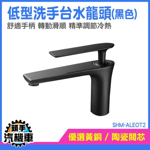 洗手台水龍頭 水龍頭 小龍頭 檯面龍頭 洗手盆 龍頭 單冷直嘴龍頭 單槍龍頭 單槍水龍頭 立式龍頭 SHM-ALEOT2