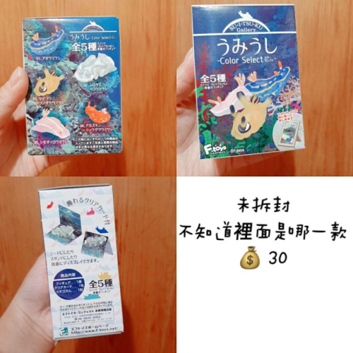 【C.X購樂趣】玩具◾盒裝玩具