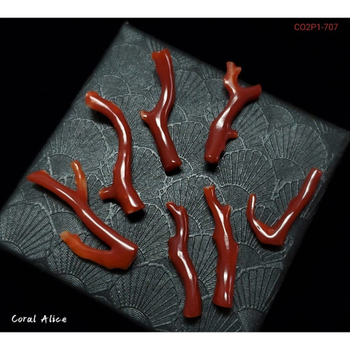 ?Coral珊寶手作-天然阿卡珊瑚/紅珊瑚/赤血珊瑚自然枝(無孔) CO2P1-707